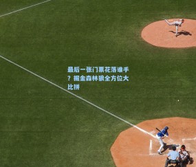最后一张门票花落谁手？掘金森林狼全方位大比拼