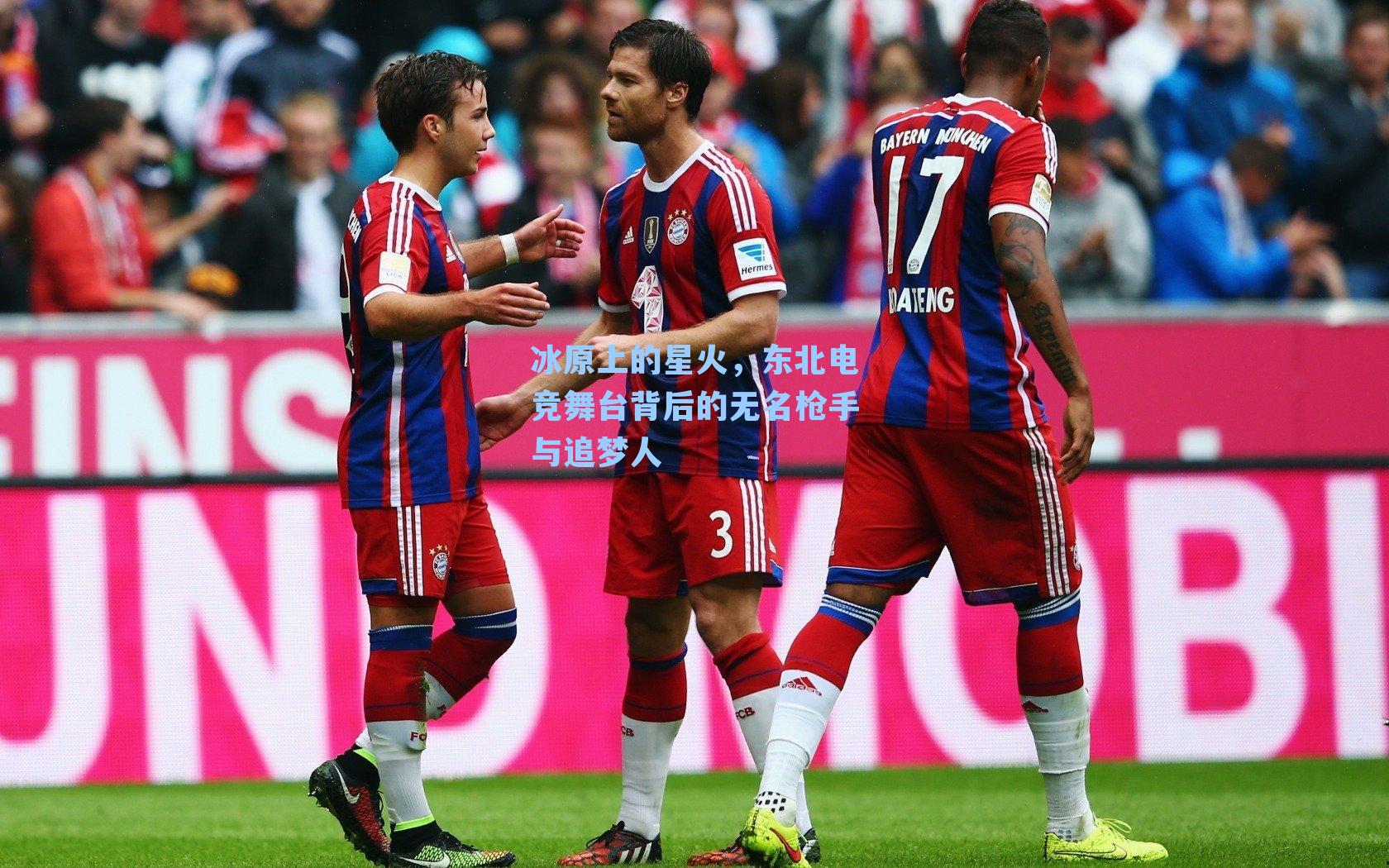 冰原上的星火，东北电竞舞台背后的无名枪手与追梦人