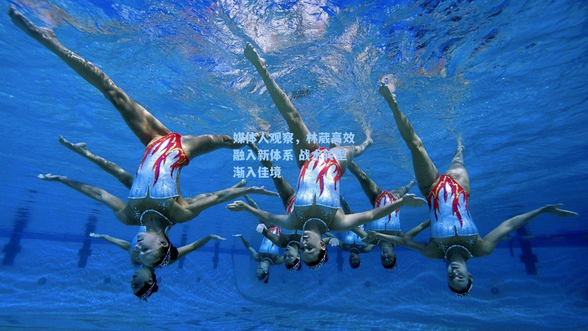 媒体人观察,林葳高效融入新体系 战术转型渐入佳境